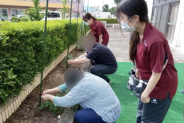 園芸療法